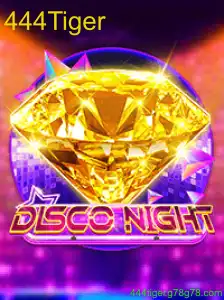 DiscoNight